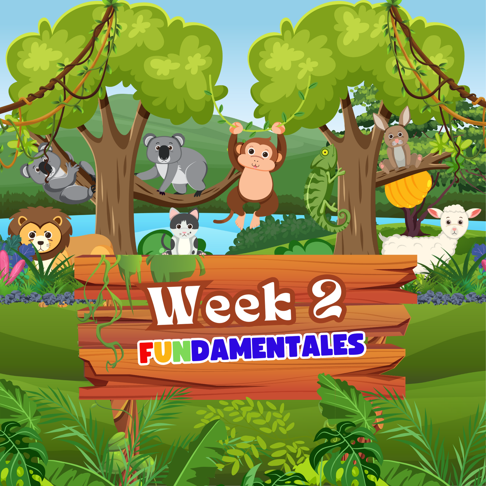 Week 2: 30 June to 4 July (Registrations only available at Sports La Pava. Contact us if you are interested in joining and enjoy a 20% discount this week)